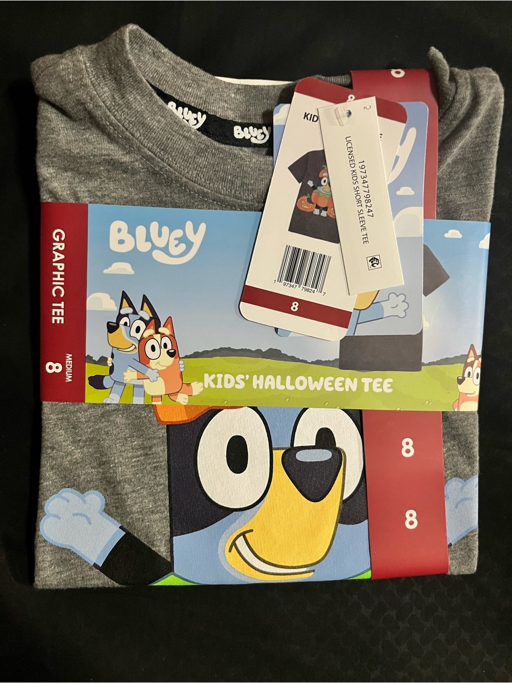 Bluey Kids' Halloween Graphic Tee - Gray Glow in the Dark NWT